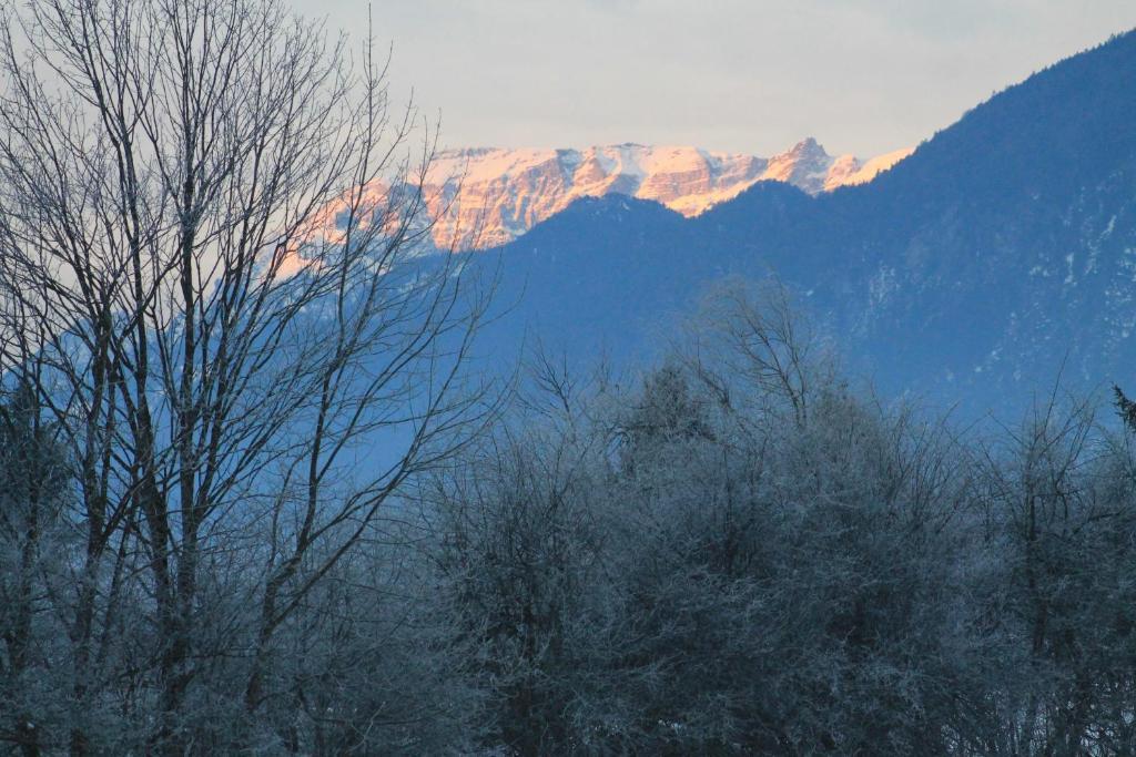 Hotel Kraftquelle Schlossblick Angerberg  Bagian luar foto